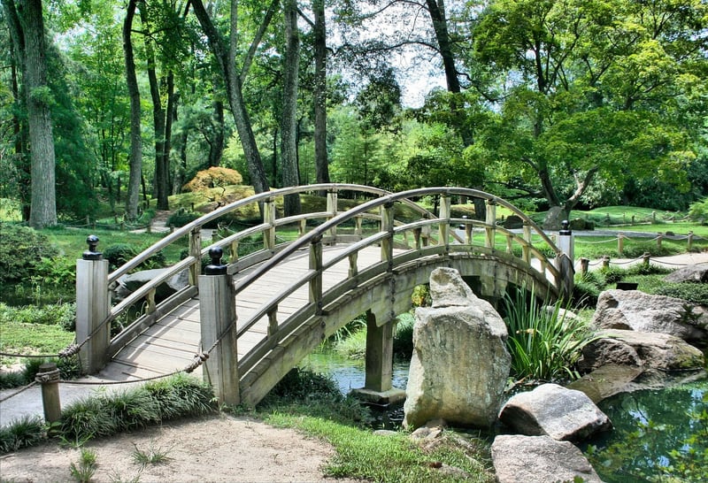 Rock Garden